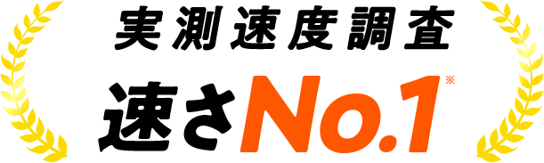 実測速度調査 速さNo.1